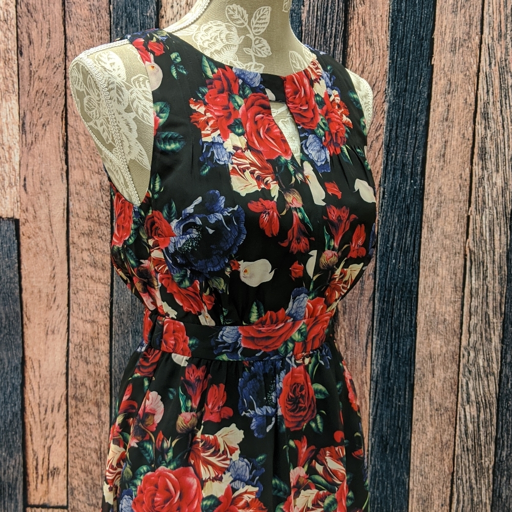 Flaunts and Needs Chiffon Dress in Black Floral